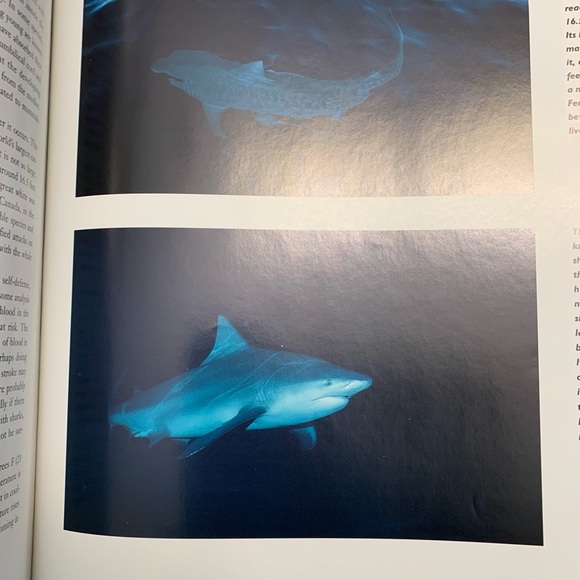 Large coffee table size hardcover educational book Giants of the Sea - Picture 7 of 9